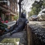 Angeline Sporer Profile Picture