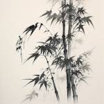 qhpreform mould profile picture